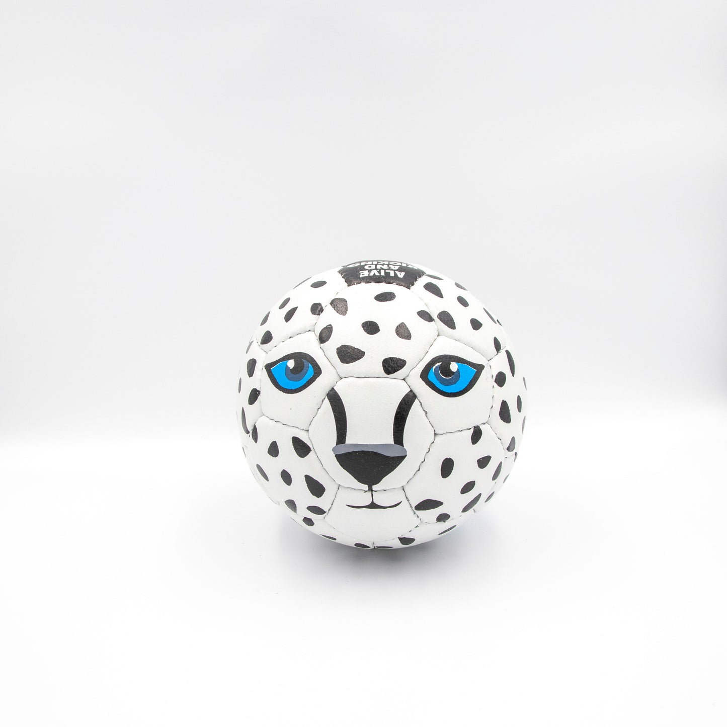 Snow Leopard