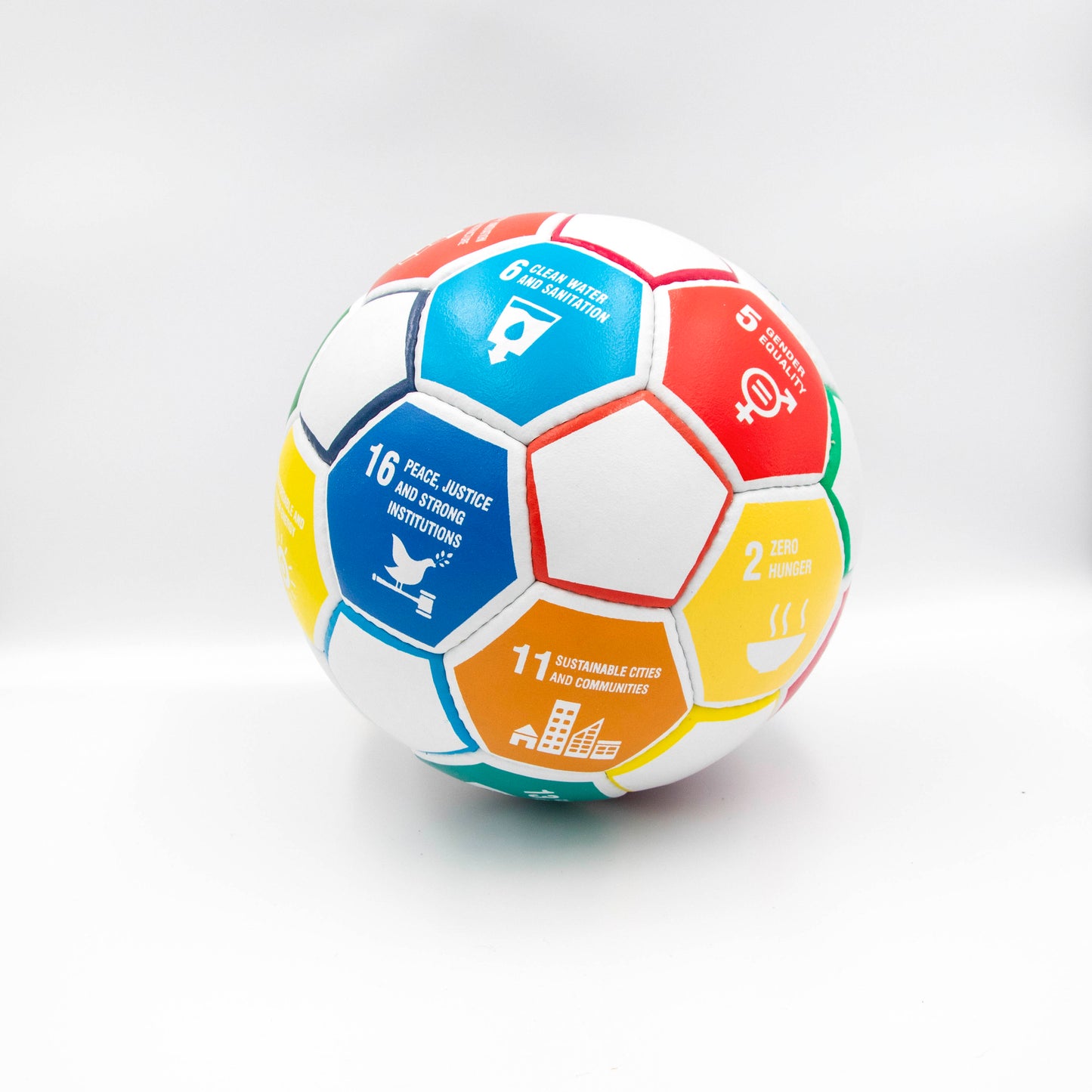 Sustainable Development Goals